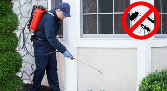 Lapseki Tahtakurusu İlaçlama böcek ilaçlama ve haşere kontrolü — ilaclama-tr.com